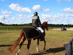 IMG_4205-018-redigeret